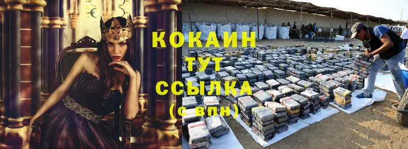 купить  цена  MEGA маркетплейс  COCAIN Колумбийский  Бородино 